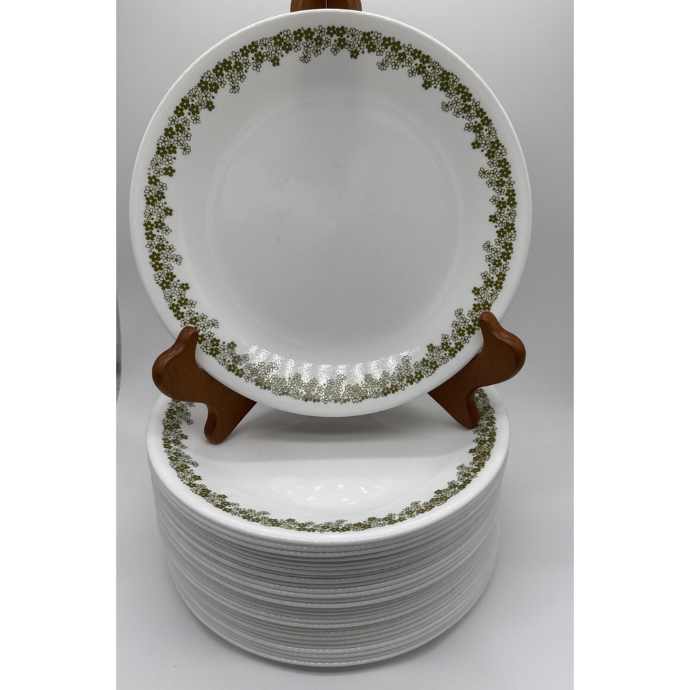 Corelle Livingware Spring Blossom Green Crazy Daisy Dinner Plates Set 18pc